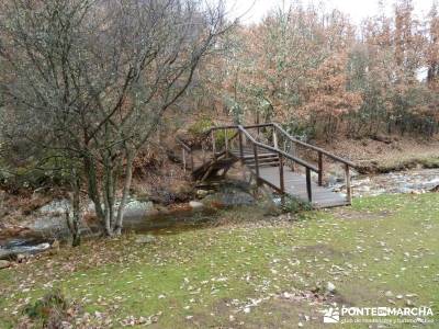 Molino Río Jarama-La Hiruela; viajes en enero valle de jerte cerezos en flor concierto de las velas